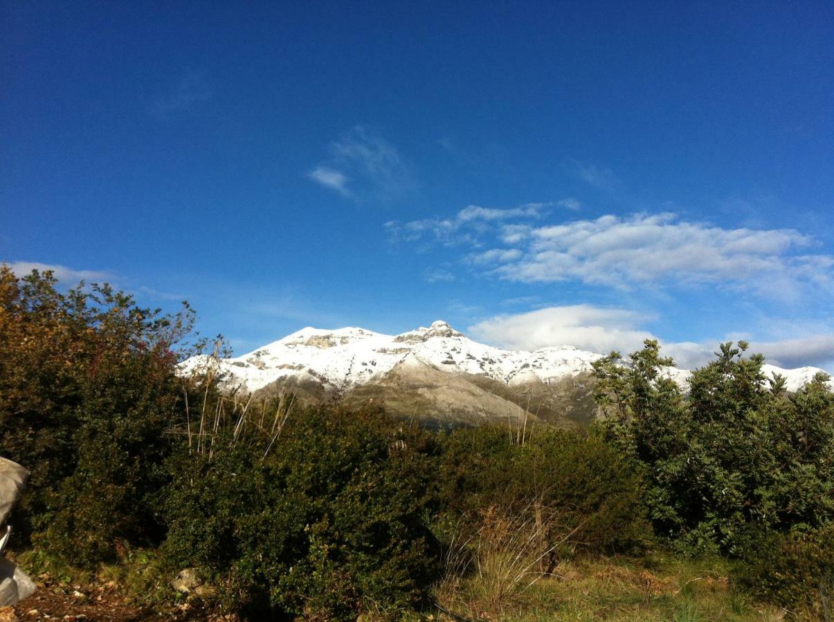 Villa Treglia B&B Formia Kültér fotó