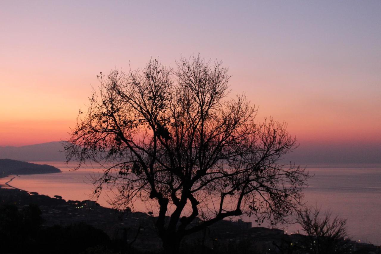 Villa Treglia B&B Formia Kültér fotó